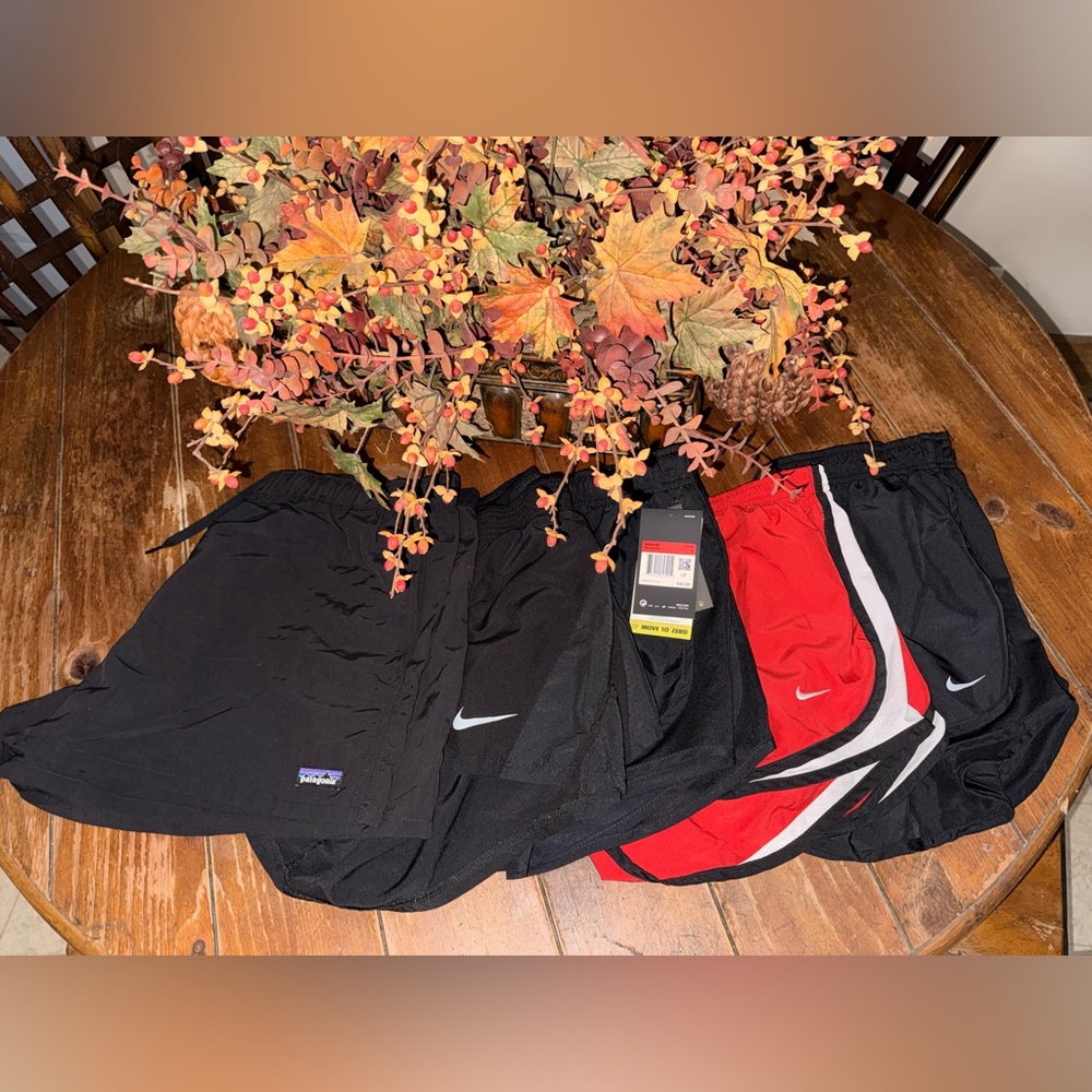 5 Patagonia and Nike Shorts Bundle M/Lg/Xl